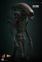 Hottoys - Alien Big Chap 16th scale Collectible Figure MMS826 (Licensed)