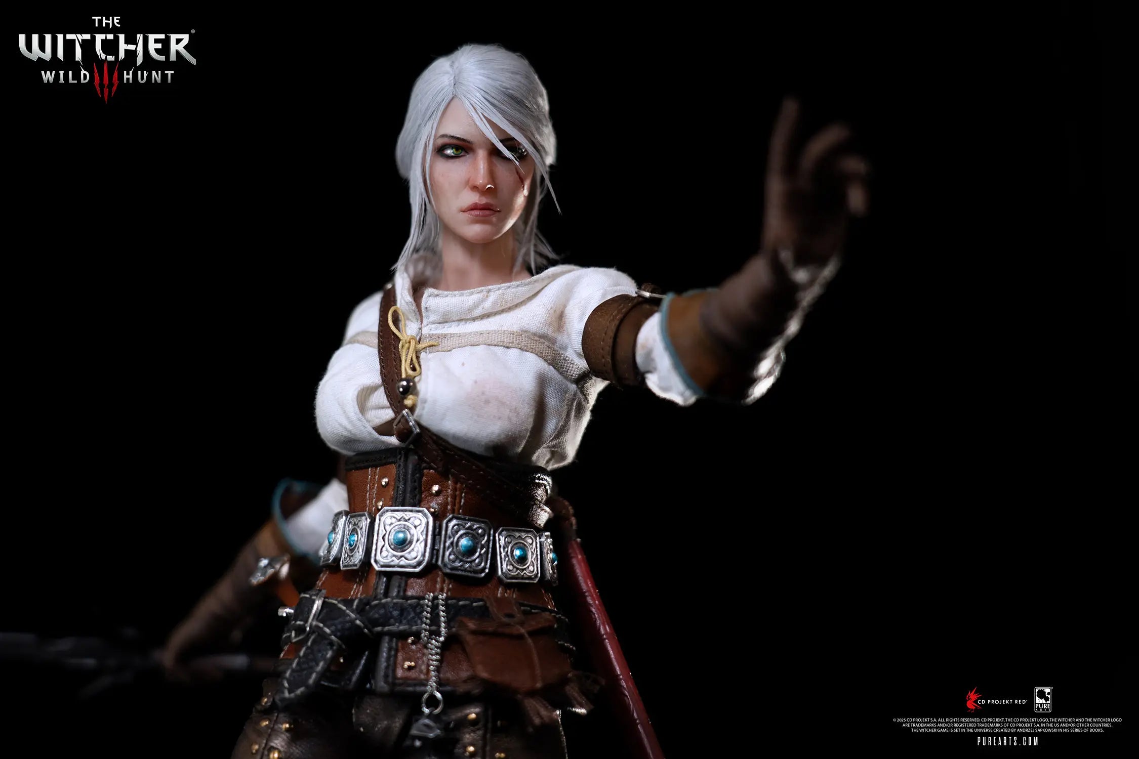PureArts Studio - The Witcher 3: The Wild Hunt Ciri of the Cintra 1 / 6 Scale Articulated Figure (Licensed)