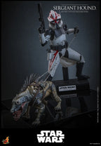 Hottoys - Sergeant Hound 1/6 Scale Collectible Figure TMS167 (Licensed)