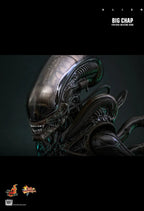 Hottoys - Alien Big Chap 16th scale Collectible Figure MMS826 (Licensed)