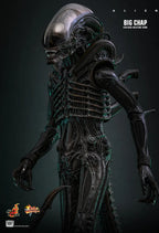 Hottoys - Alien Big Chap 16th scale Collectible Figure MMS826 (Licensed)