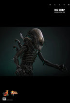 Hottoys - Alien Big Chap 16th scale Collectible Figure MMS826 (Licensed)