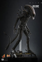 Hottoys - Alien Big Chap 16th scale Collectible Figure MMS826 (Licensed)