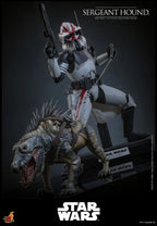 Hottoys - Sergeant Hound 1/6 Scale Collectible Figure TMS167 (Licensed)