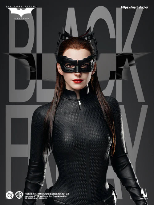 INART - The Dark Knight Rises - Catwoman 1/6 Collectible Figure (Licensed)