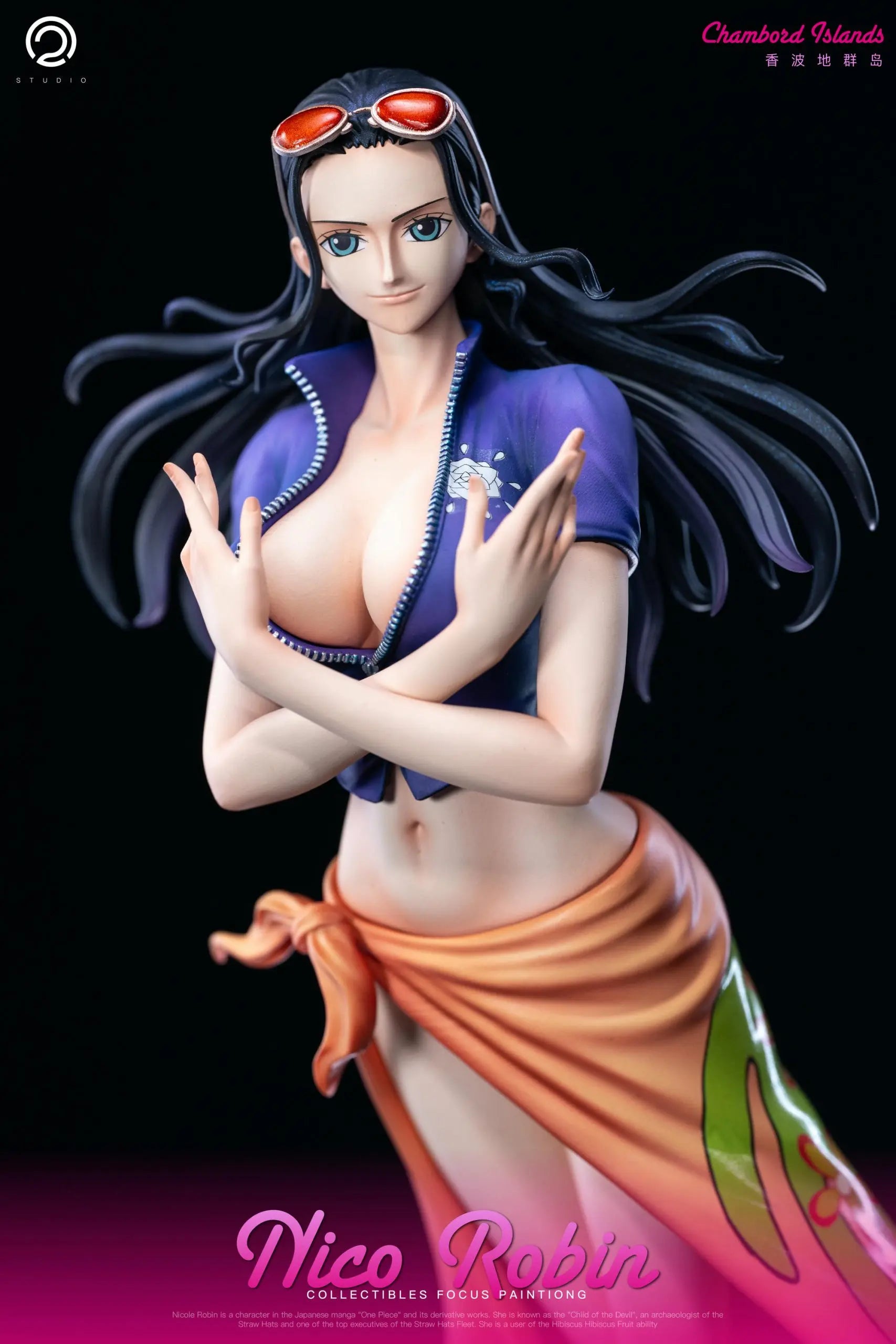 C2 Studio - One Piece Two years later Straw Hat Pirates Part 7 Nico Robin
