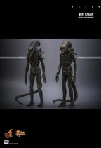 Hottoys - Alien Big Chap 16th scale Collectible Figure MMS826 (Licensed)