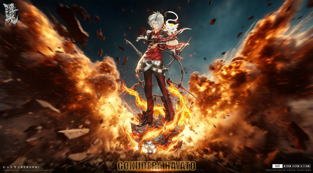 Floating Light Studio - Katekyo Hitman Reborn 002 Hayato Gokudera