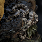 Epic Creations Studio - Jason Vorhess Friday the 13th