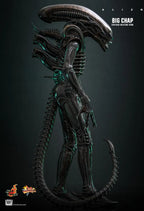Hottoys - Alien Big Chap 16th scale Collectible Figure MMS826 (Licensed)