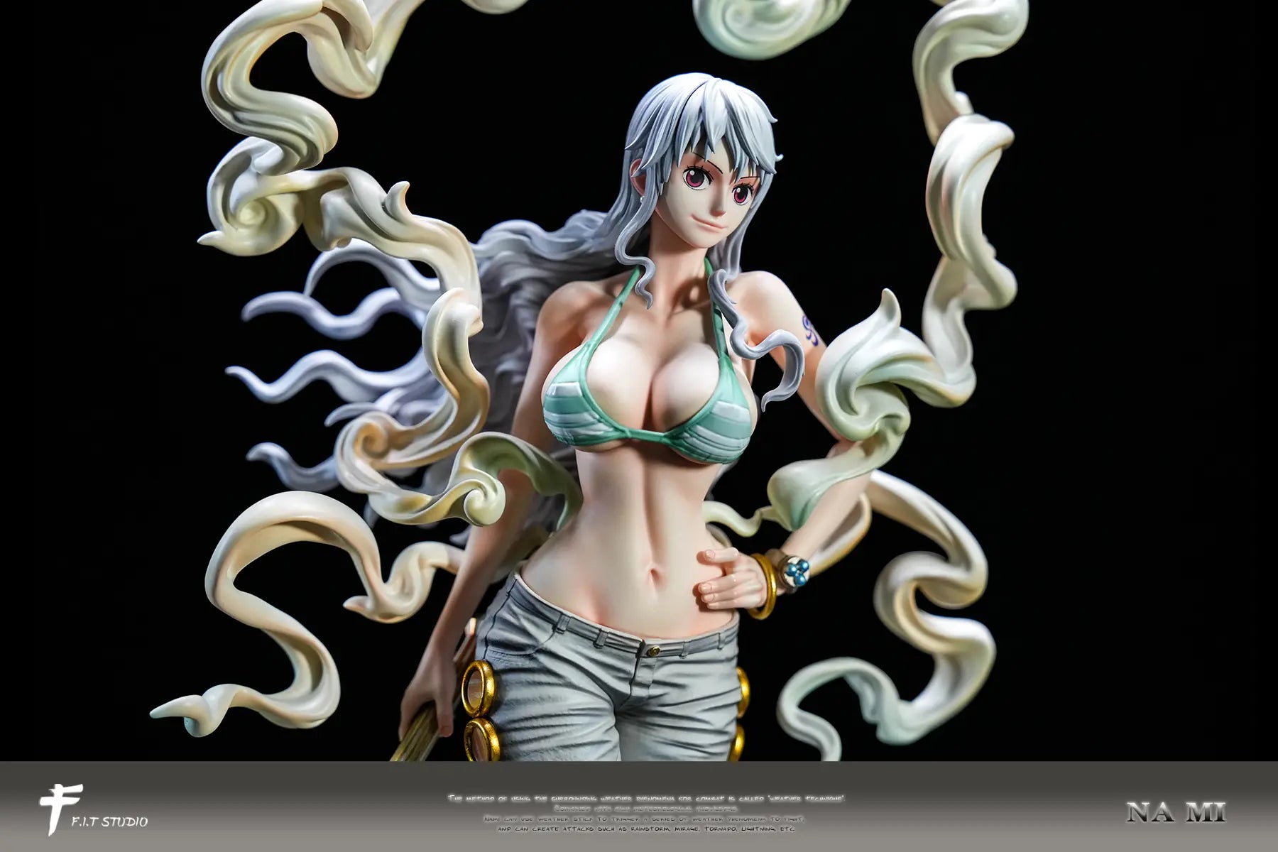 F.I.T Studio - One Piece Nika Form Nami