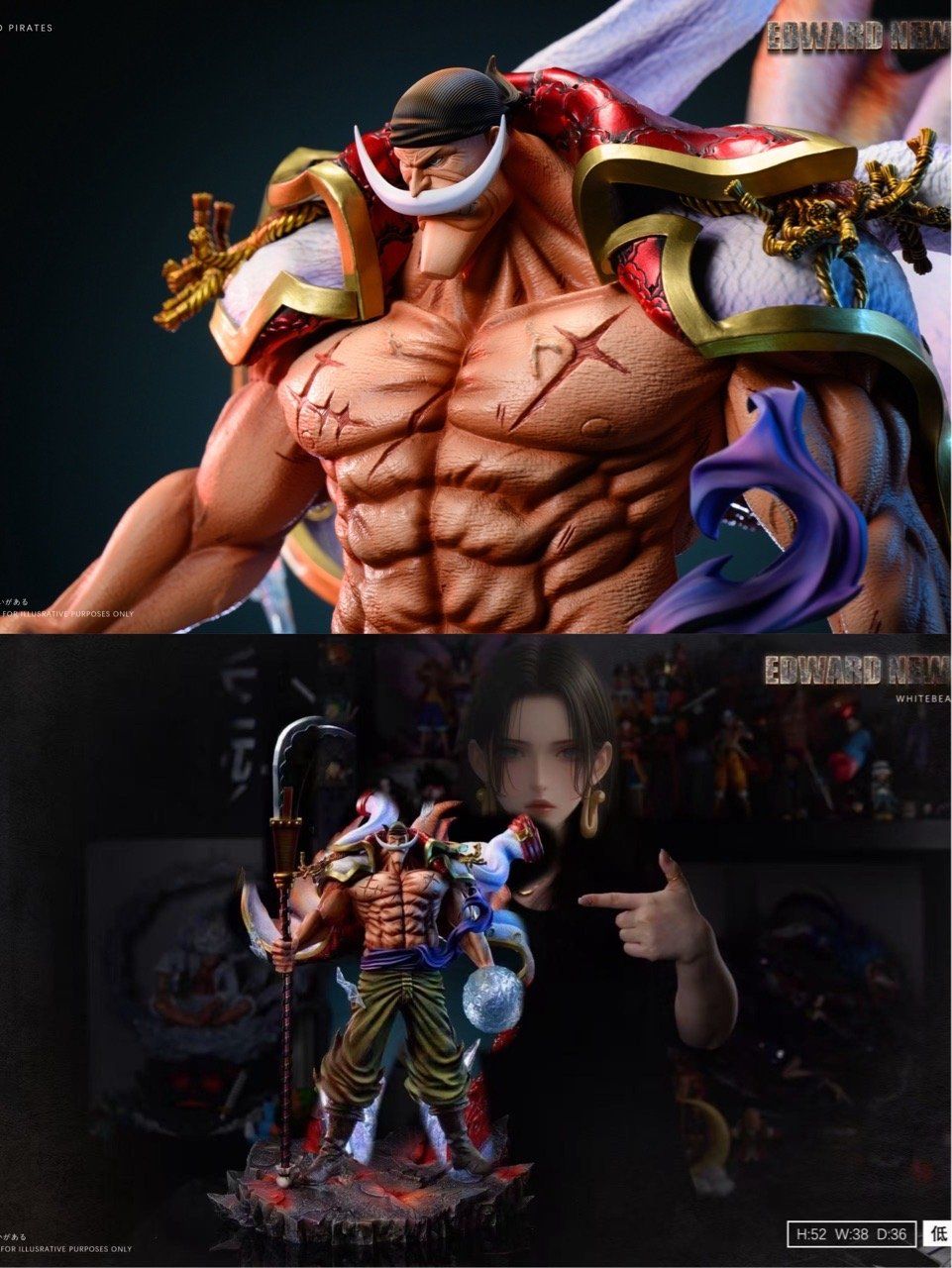 LZ Studio - Edward Newgate One Piece