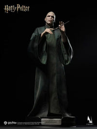 InArt - Voldemort Harry Potter