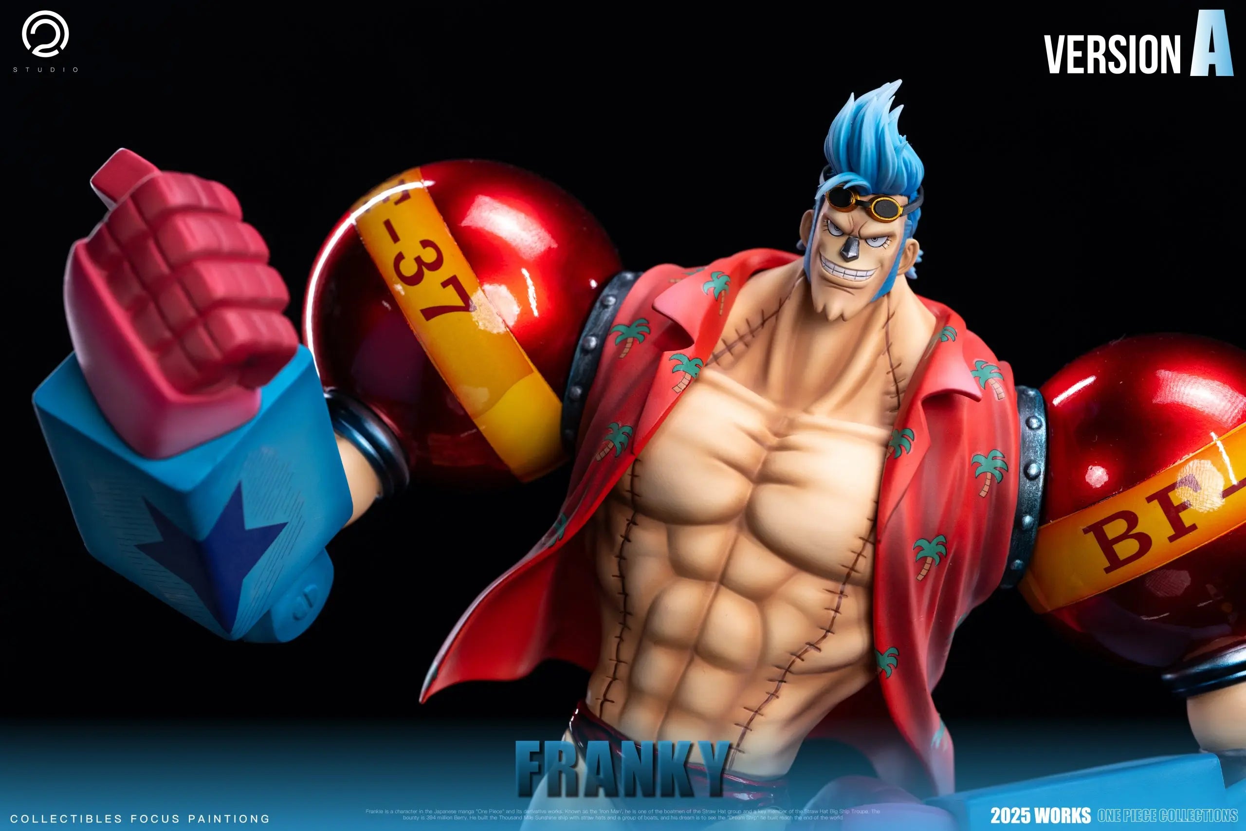 C2 Studio - One Piece Straw Hat Pirates Two Years Later #9 Franky
