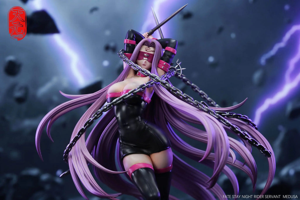 TY Studio - Fate/stay night RIDER Medusa