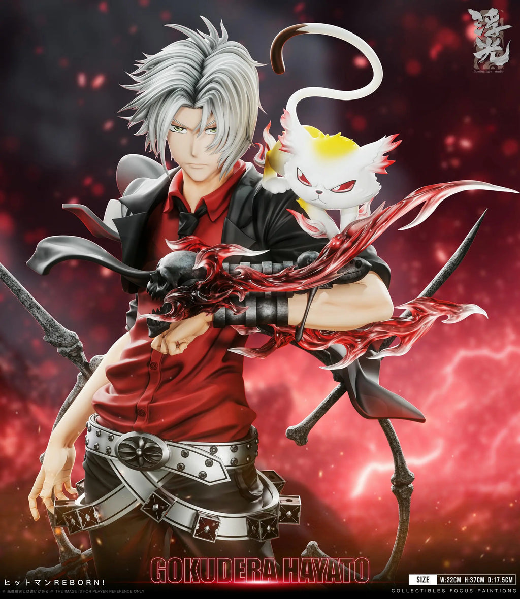 Floating Light Studio - Katekyo Hitman Reborn 002 Hayato Gokudera