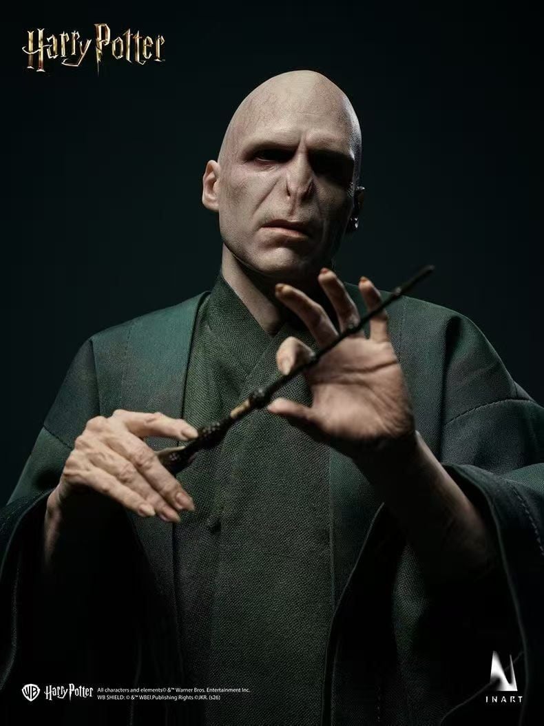 InArt - Voldemort Harry Potter