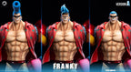 C2 Studio - One Piece Straw Hat Pirates Two Years Later #9 Franky