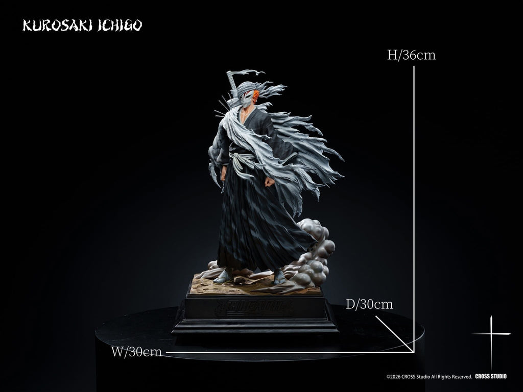 Cross Studio Ichigo Kurosaki Bleach