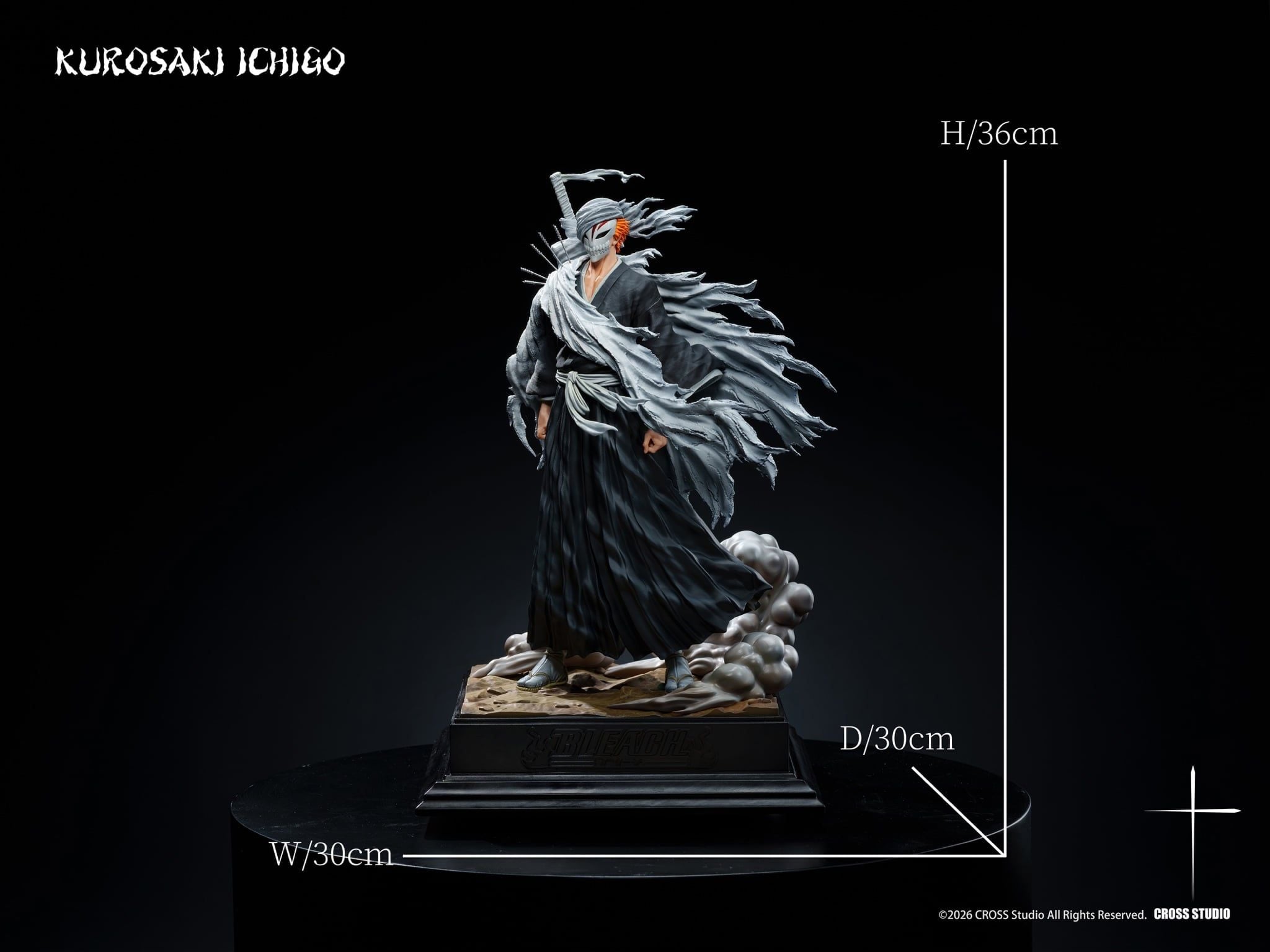 Cross Studio Ichigo Kurosaki Bleach