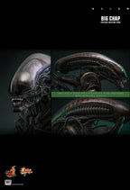Hottoys - Alien Big Chap 16th scale Collectible Figure MMS826 (Licensed)