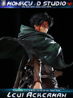 Monkey.D Studio - Attack On Titan Captain Levi