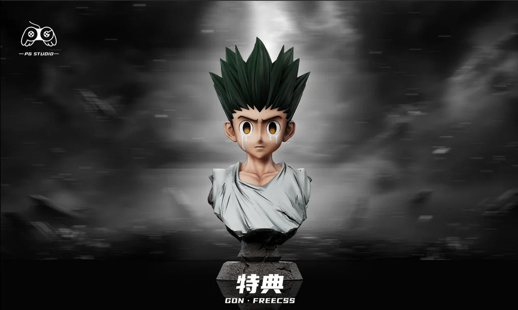 PG Studio - Hunter × Hunter Mental breakdown Gon Freecss