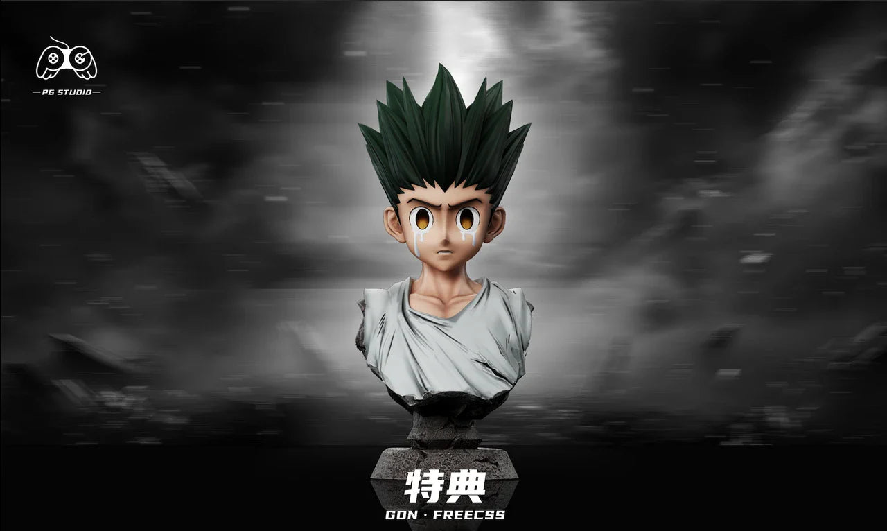 PG Studio - Hunter × Hunter Mental breakdown Gon Freecss