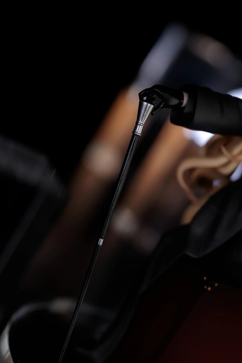 Dragon Stone Studio - Professor Niyaniya Blue Archive