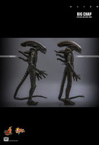 Hottoys - Alien Big Chap 16th scale Collectible Figure MMS826 (Licensed)
