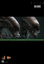 Hottoys - Alien Big Chap 16th scale Collectible Figure MMS826 (Licensed)