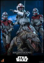 Hottoys - Sergeant Hound 1/6 Scale Collectible Figure TMS167 (Licensed)