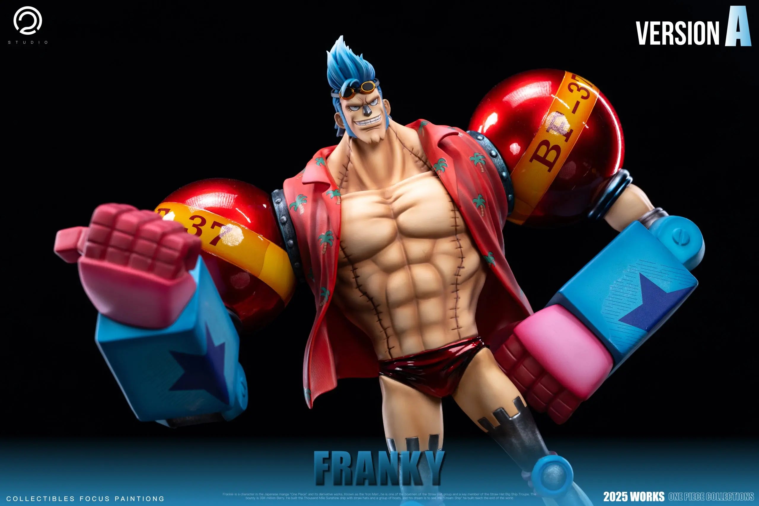 C2 Studio - One Piece Straw Hat Pirates Two Years Later #9 Franky