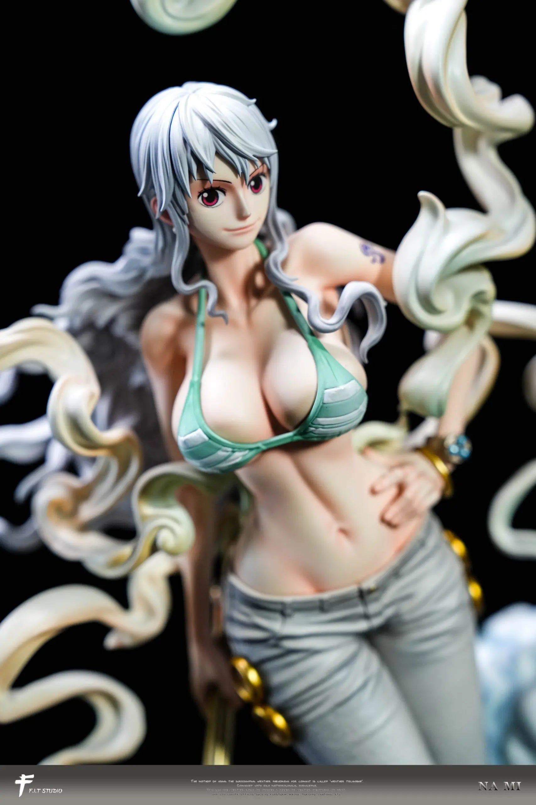 F.I.T Studio - One Piece Nika Form Nami