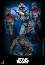Hottoys - Sergeant Hound 1/6 Scale Collectible Figure TMS167 (Licensed)