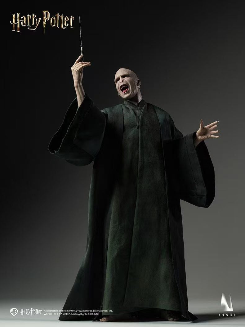 InArt - Voldemort Harry Potter