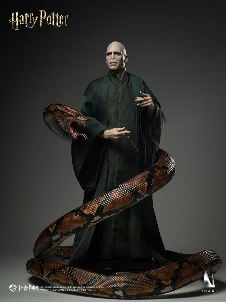 InArt - Voldemort Harry Potter