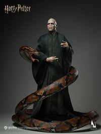 InArt - Voldemort Harry Potter