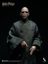 InArt - Voldemort Harry Potter