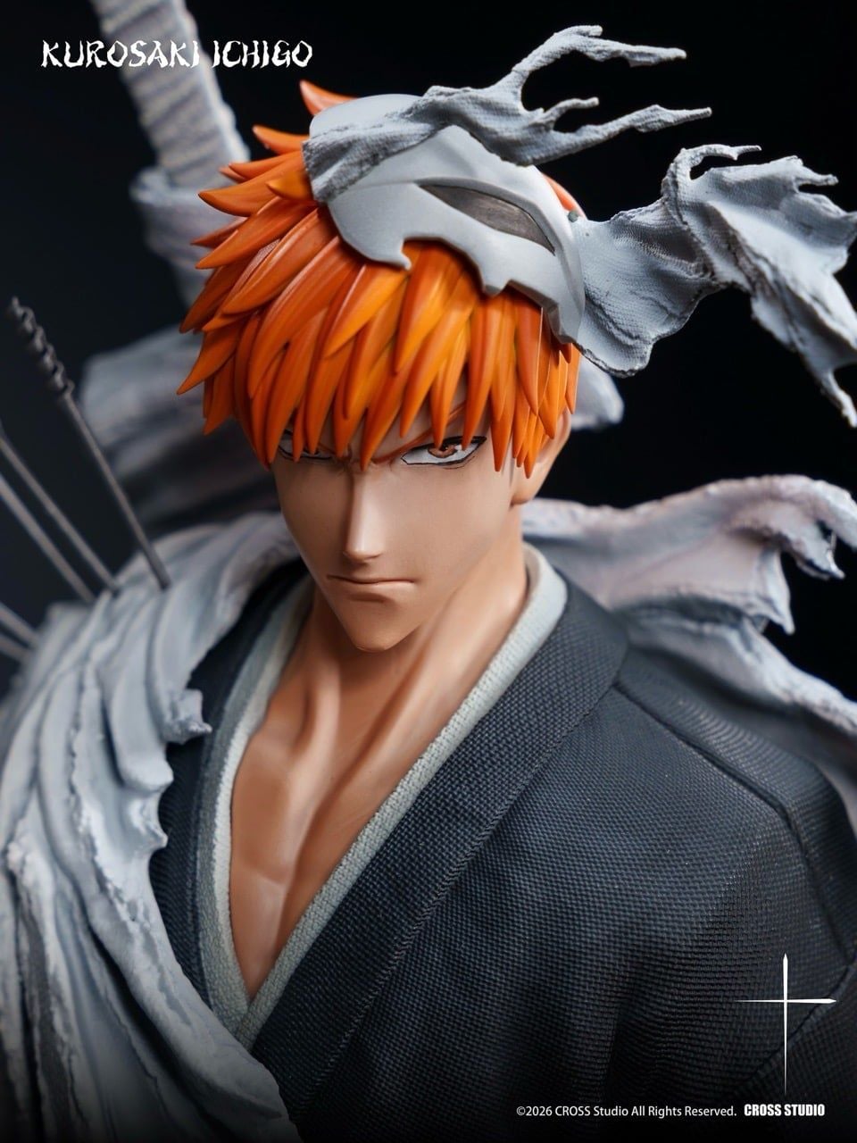 Cross Studio Ichigo Kurosaki Bleach