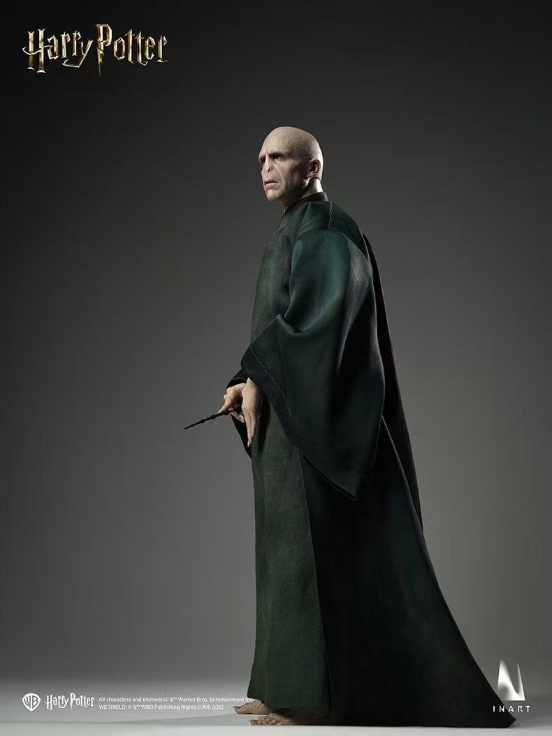 InArt - Voldemort Harry Potter