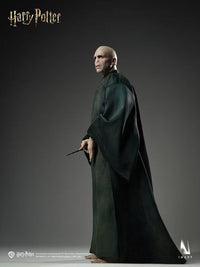 InArt - Voldemort Harry Potter