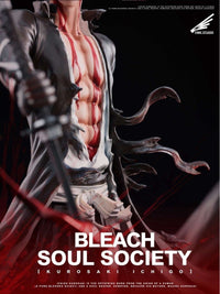 Time Studio - Bankai Ichigo Bleach