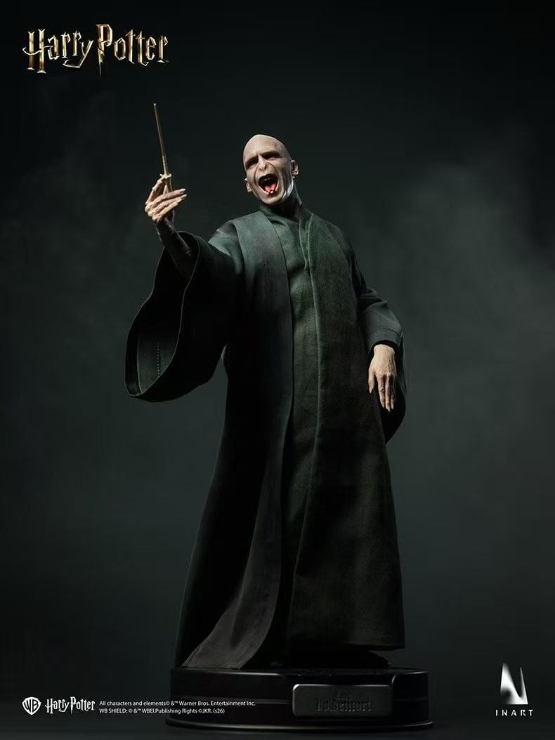 InArt - Voldemort Harry Potter