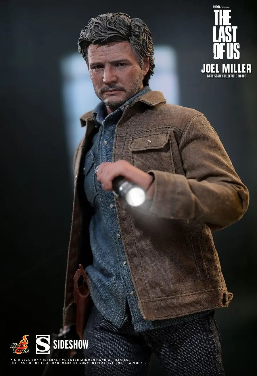 Hottoys - The Last of Us Joel Miller 16 scale Collectible Figure MMS160 (Licensed)