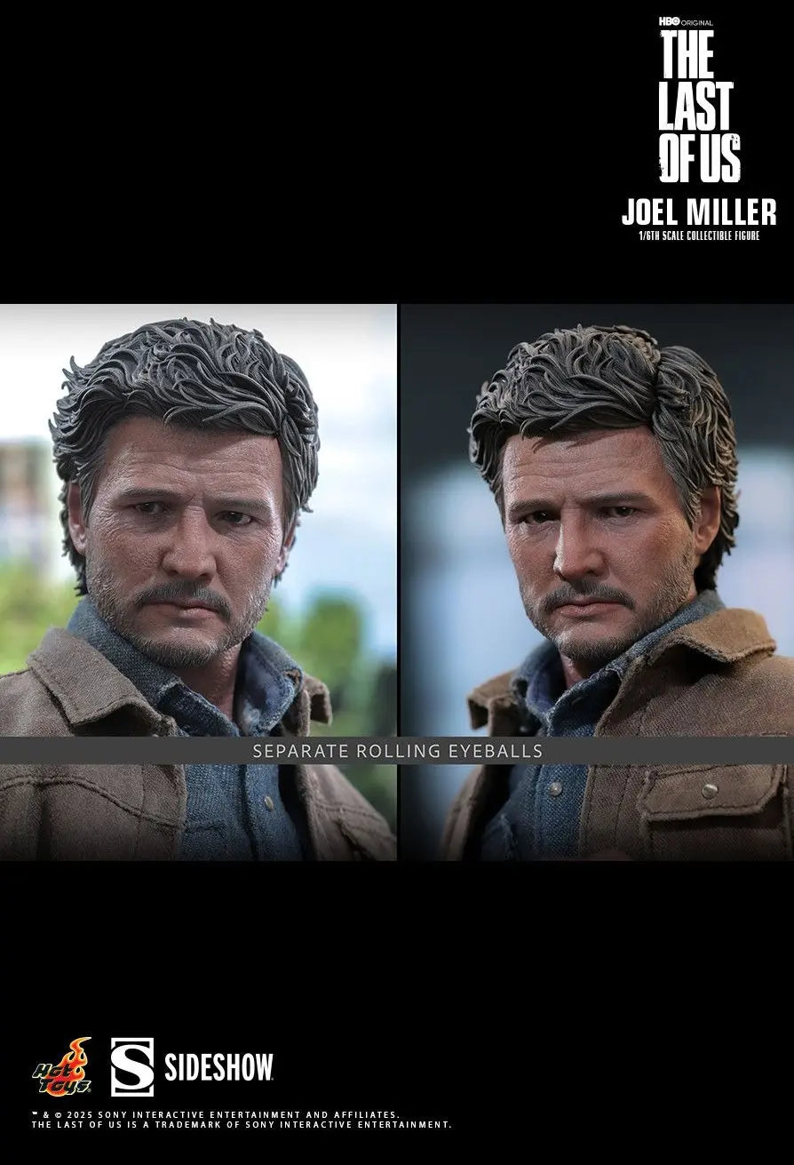 Hottoys - The Last of Us Joel Miller 16 scale Collectible Figure MMS160 (Licensed)