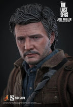 Hottoys - The Last of Us Joel Miller 16 scale Collectible Figure MMS160 (Licensed)