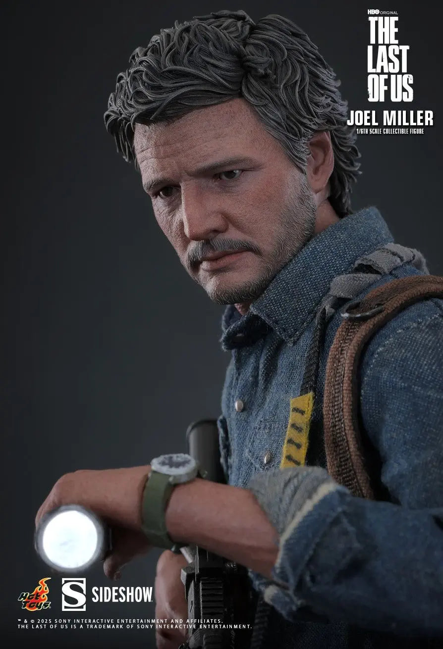 Hottoys - The Last of Us Joel Miller 16 scale Collectible Figure MMS160 (Licensed)